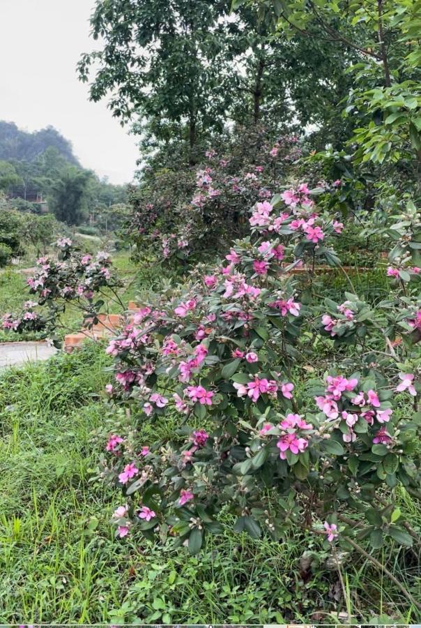 Riverside Homestay Cao Bang Dış mekan fotoğraf