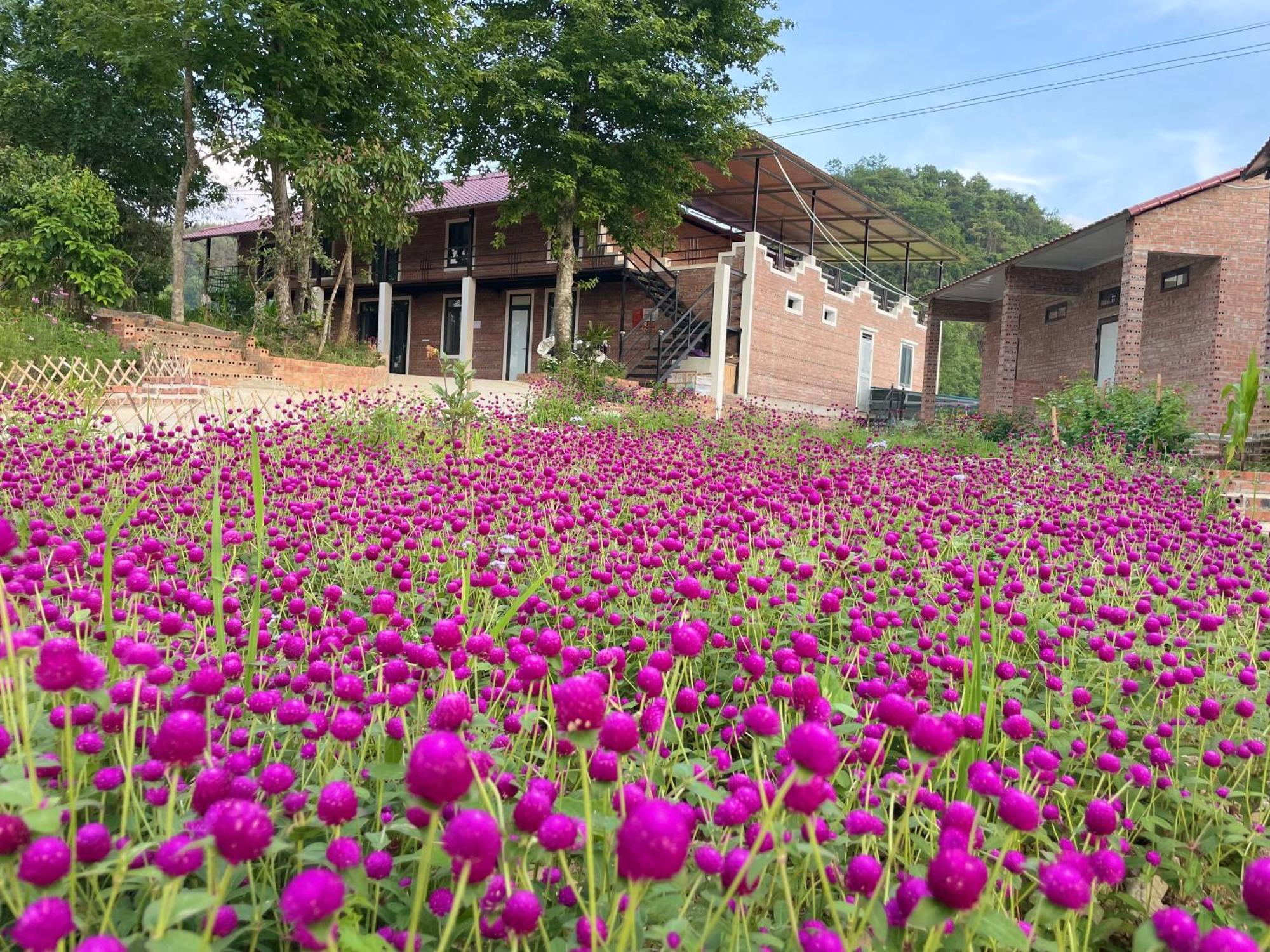 Riverside Homestay Cao Bang Dış mekan fotoğraf